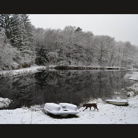 Cabane Limousine Au Bord D'Un Etang Bonnac-la-Côte 외부 사진